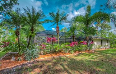 Tropical views everywhere you look.