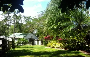Enjoy sitting at the "Lizard Porch" at the 3 stall barn.